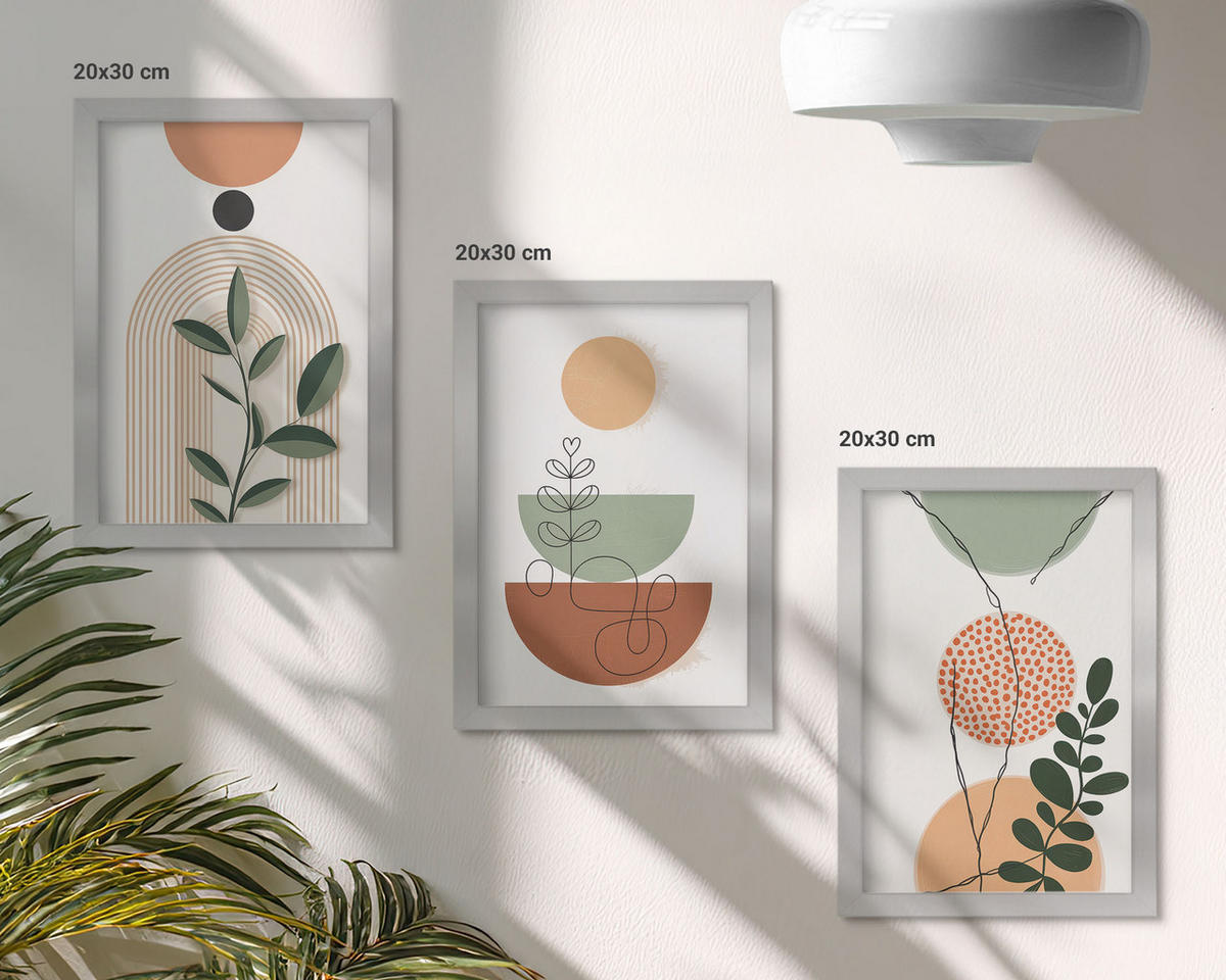WANDBILDER 3er Set - 20x30 cm Silberner Rahmen - Abstrakte Pflanzenformen - Silberfarben, Kunststoff (20/30cm) - ArtPrintCave