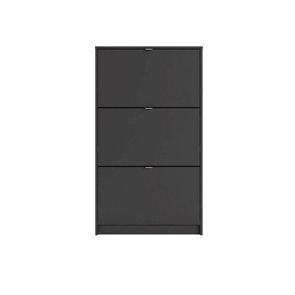 SCHUHKIPPER schwarz - Schwarz, Holzwerkstoff (70/124/24cm) - ebuy24