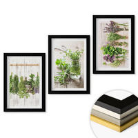 WANDBILDER 3er-Set - 20x30 cm Schwarzer Rahmen - Kräuterpflanzen für die Küche - Schwarz, Kunststoff (20/30cm) - ArtPrintCave