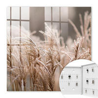 SCHLÜSSELBOX Weiß 30x30 cm – Türöffnung nach rechts - Gefrorenes Gras - Beige, Metall (30/30/5cm) - TULUP