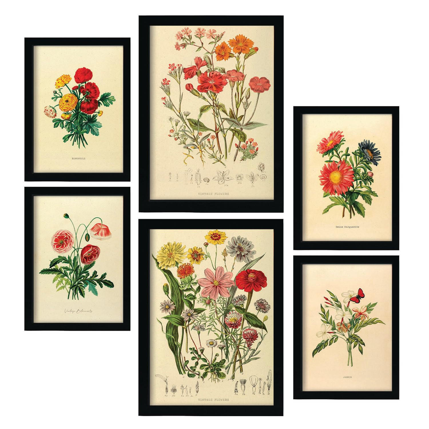 POSTER Set Mit 6 Blumensträuße 2 In Vintage A3 & A4 Rahmenlos - Klar, Papier (29/3cm) - Nacnic
