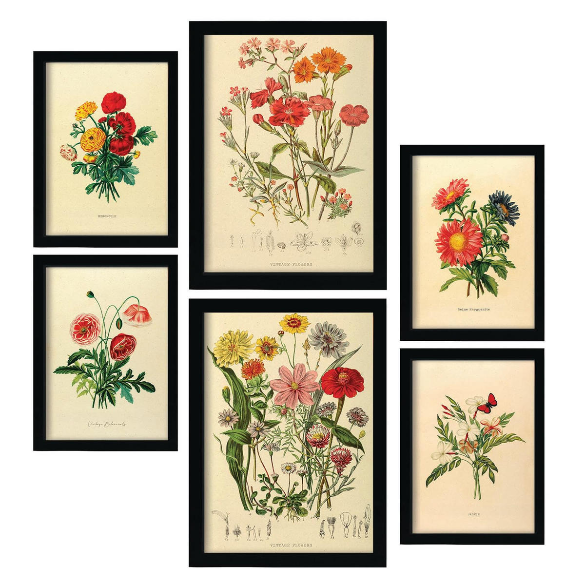 POSTER Set Mit 6 Blumensträuße 2 In Vintage A3 & A4 Rahmenlos - Klar, Papier (29/3cm) - Nacnic
