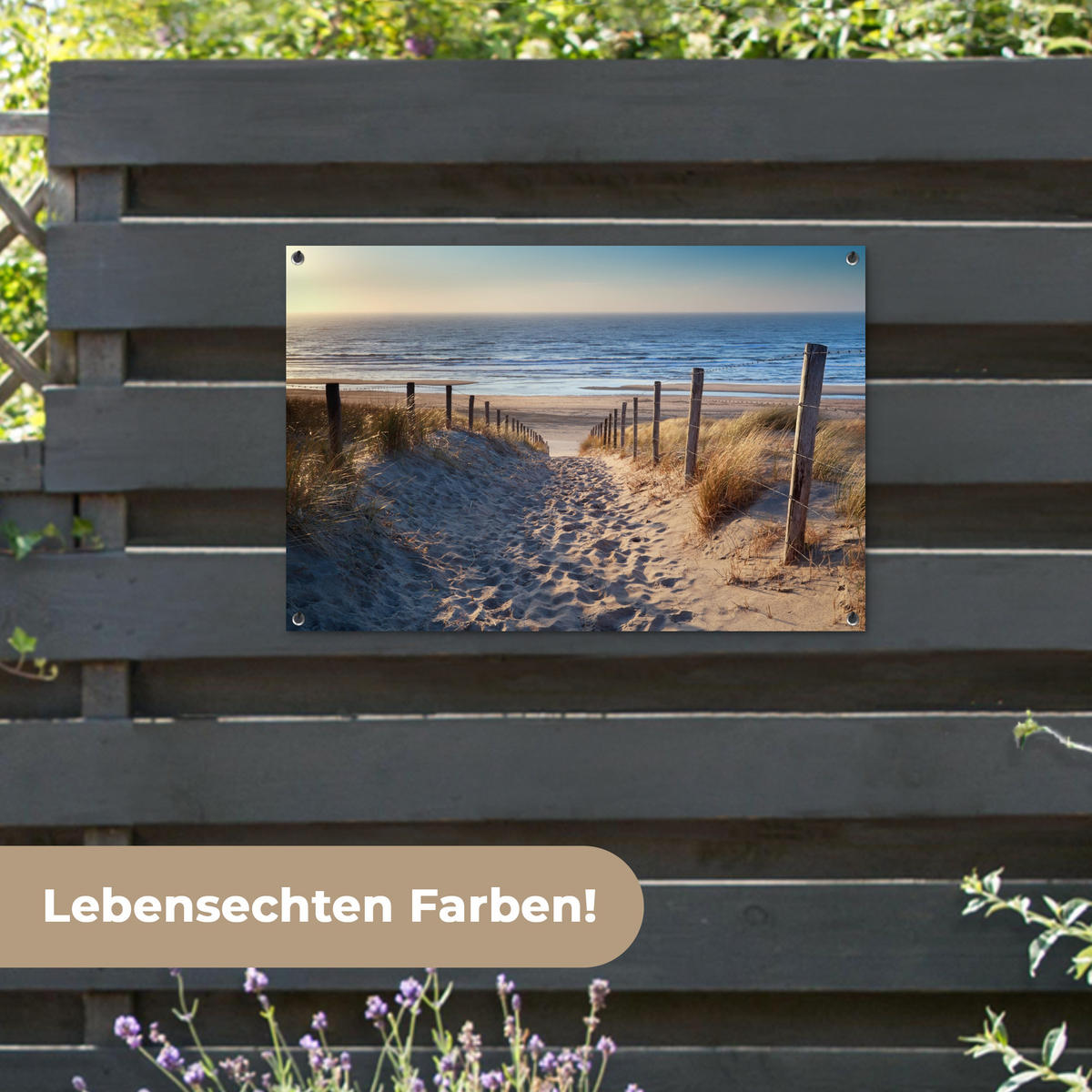 ZAHRADNÍ PLAKÁT Pláž - moře - Nizozemsko - duny - slunce 90x60 cm - písková barva, plast (90/60/0.2cm) - OnlyWow