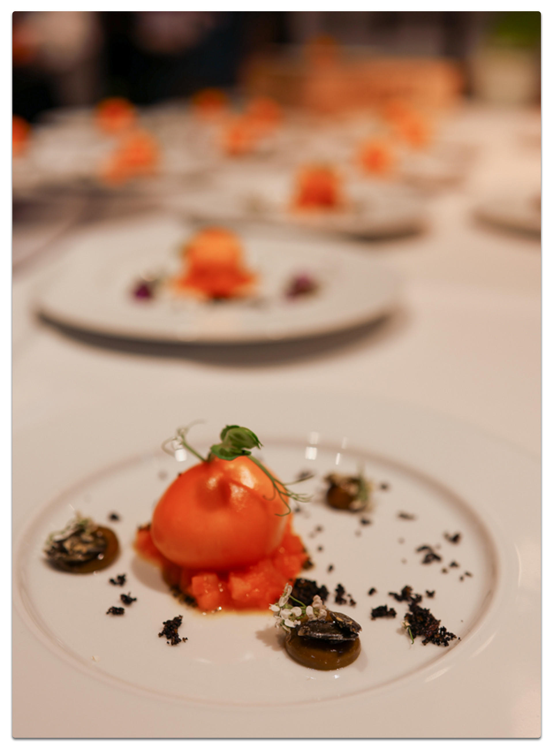 Ein weißer Teller mit einem orangefarbenen Dessert, das appetitlich angerichtet ist.