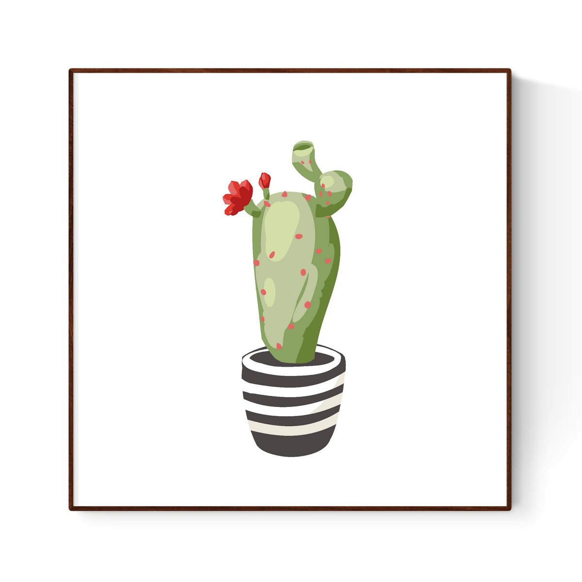 POSTER Set Mit 6 Kaktus Illustriert Blätter 30X30 Rahmenlos - Klar, Papier (29/3cm) - Nacnic