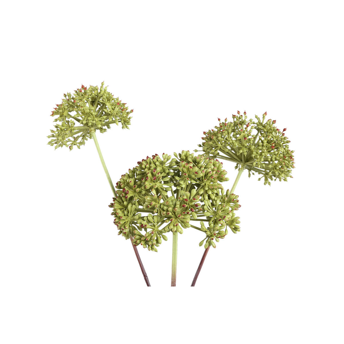 KUNSTZWEIG Garden Grün 30/35/78cm - Grün, Metall (35/78/30cm) - PTMD Collection