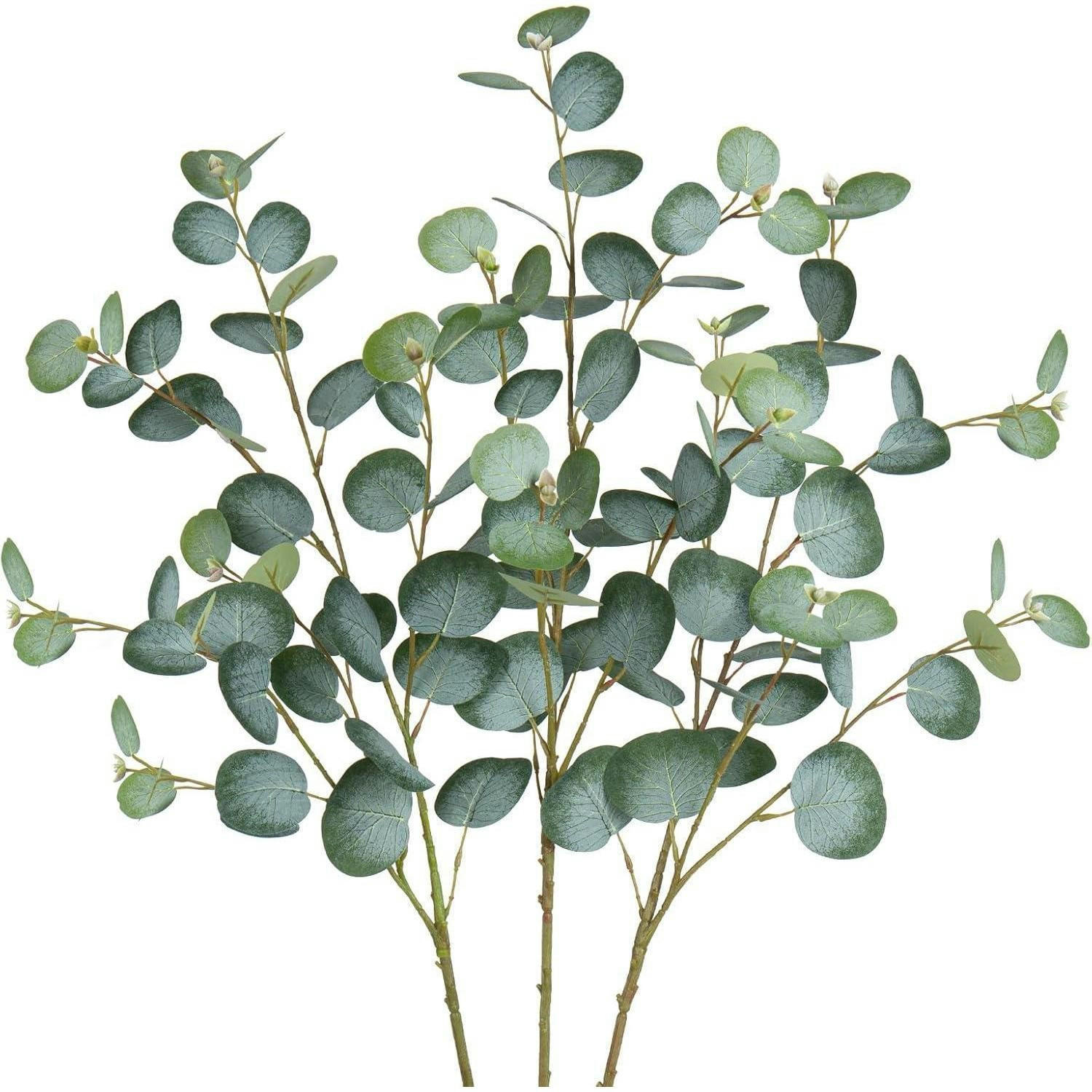 KUNSTPFLANZE Eukalyptus Zweige 3er Set 81 cm - Grün, Kunststoff (81cm)