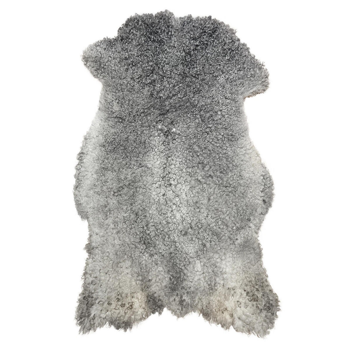 SCHAFFELL Gotland Naturgrau Lockig Unikat ca. 100 cm - Hellgrau, Fell (60/100cm) - Provellus