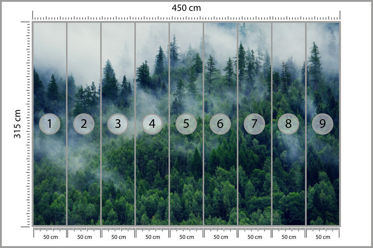 FOTOTAPETE Wald im Nebel Natur Landschaft 3D 450x315 - Grau/Grün, Papier (450/315cm) - Muralo
