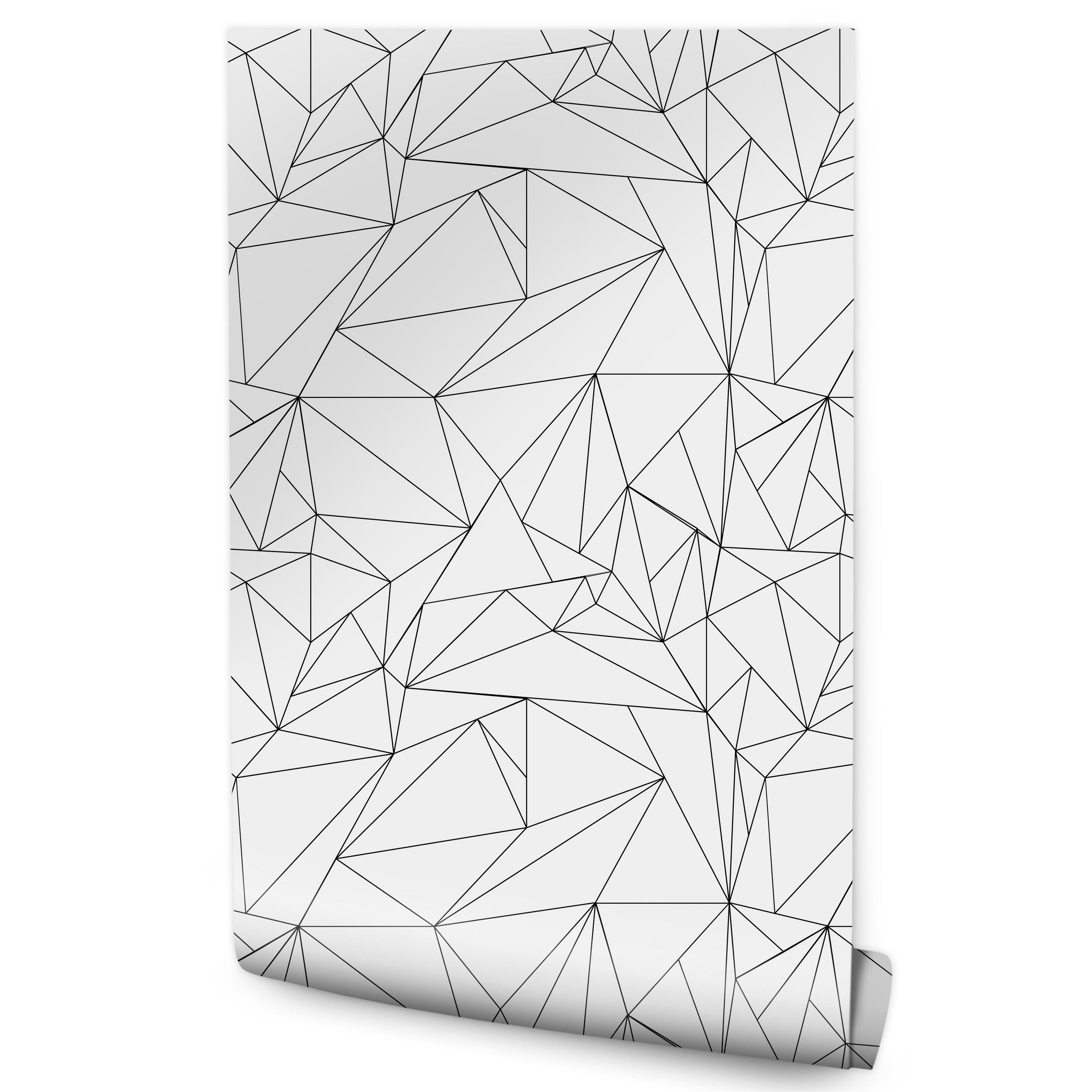 VLIESTAPETE Geometrische Linien – Schwarz, Weiß – 50x1000 cm - Schwarz/Weiß, Papier (50/1000cm) - Muralo