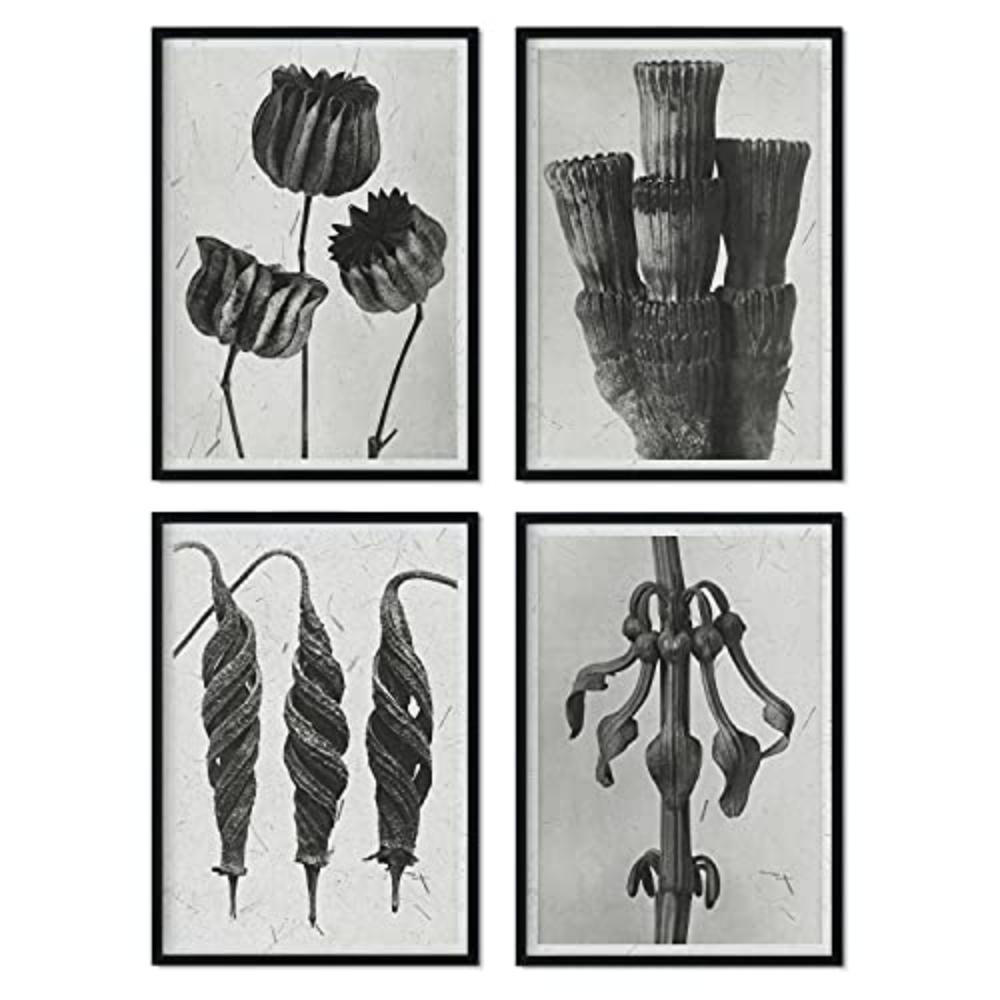 POSTER Set mit 4 exotischer Blätter Blumen und Pflanzen in Grausteinen A3 Schwarzer Rahmen - Schwarz, Papier (29.7/3cm) - Nacnic