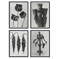 POSTER Set mit 4 exotischer Blätter Blumen und Pflanzen in Grausteinen A3 Schwarzer Rahmen - Schwarz, Papier (29.7/3cm) - Nacnic