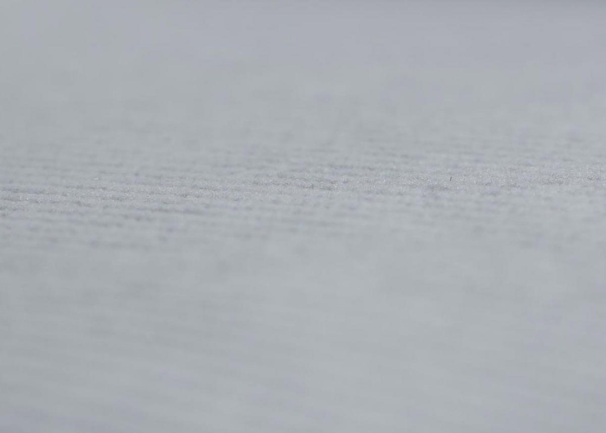 JEDILNIŠKA STOL Siva - svetlo siva, tekstil (56/80/53cm) - MCW