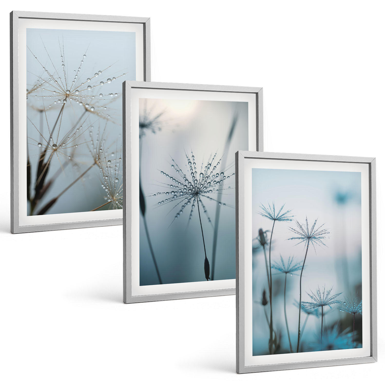 BILDER SET 3er Set - 40x60 cm Silberner Rahmen - Löwenzahn mit Wassertropfen - Silberfarben, Kunststoff (40/60cm) - TULUP