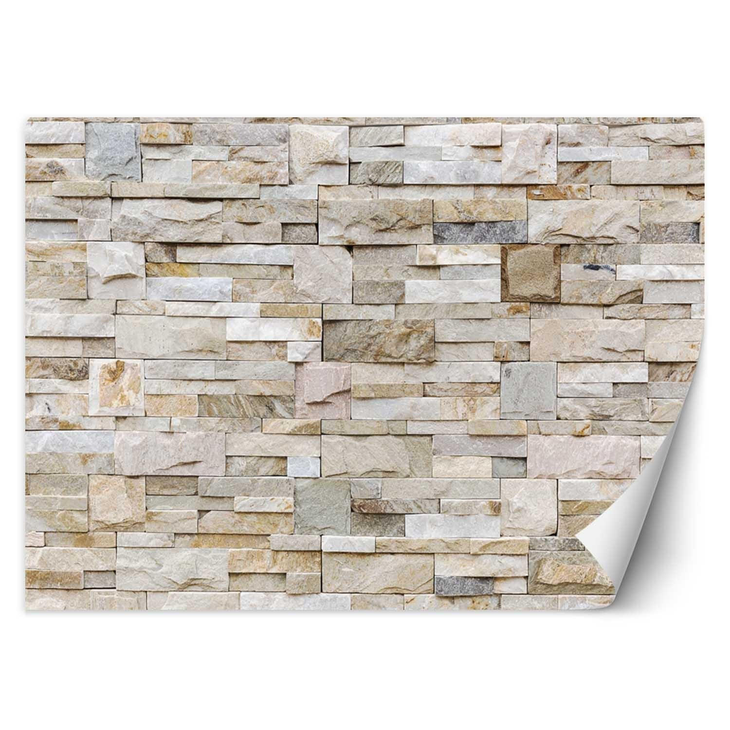 Kunstloft Vliestapete Beige 350x245 cm