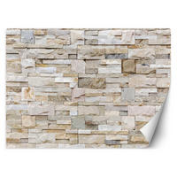 VLIESTAPETE Beige 250/175 cm - Beige, Textil (250/1cm) - KUNSTLOFT