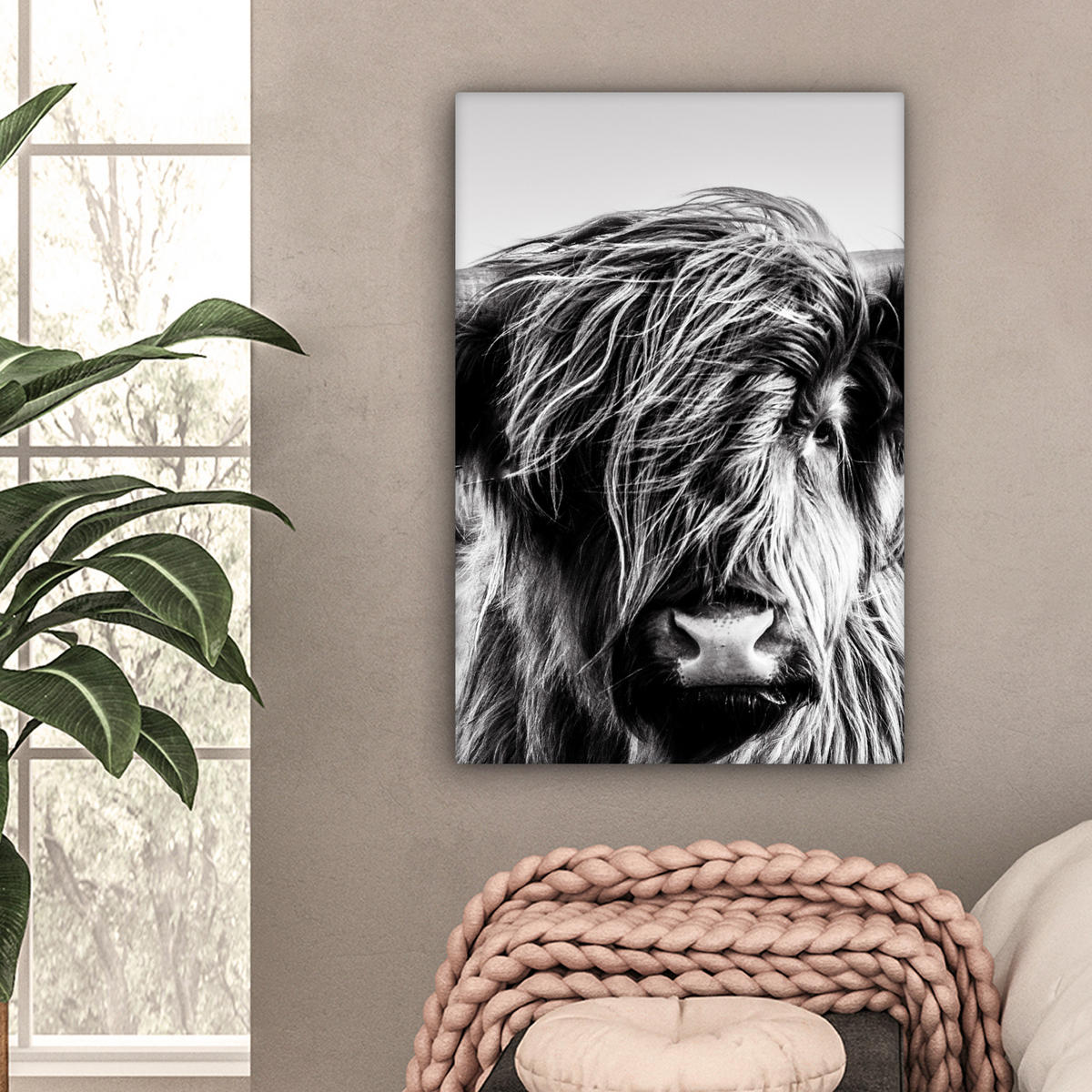 OBRAZ NA PLÁTNĚ Kráva - Skotský horal - Černá - Bílá - Zvíře - Příroda - Divoká zvěř 40x60 cm - černá, textil (40/60cm) - MuchoWow