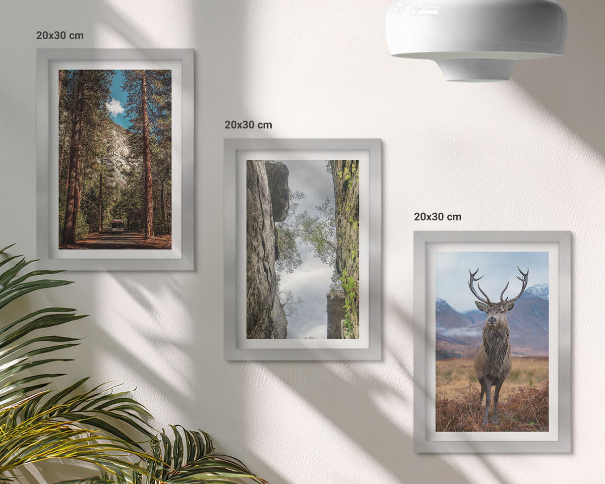 BILDER SET 3er Set - 20x30 cm Silberner Rahmen - Straße Wald Berge Hirsch Natur - Silberfarben, Kunststoff (20/30cm) - TULUP
