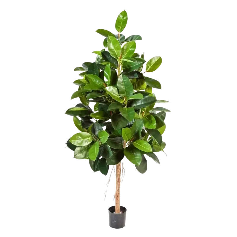 KUNSTBAUM Künstlicher Gummibaum - Karim 140 cm - Grün, Kunststoff (140cm) - aplanta