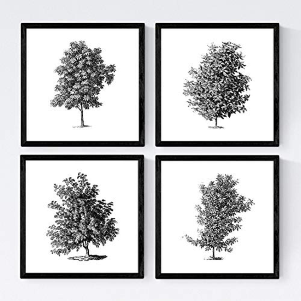 POSTER Set mit 4 Blättern der Baumzweige, weiß 20x20cm Schwarzer Rahmen - Schwarz, Papier (20/3cm) - Nacnic