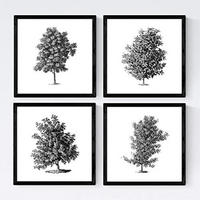 POSTER Set mit 4 Blättern der Baumzweige, weiß 20x20cm Schwarzer Rahmen - Schwarz, Papier (20/3cm) - Nacnic