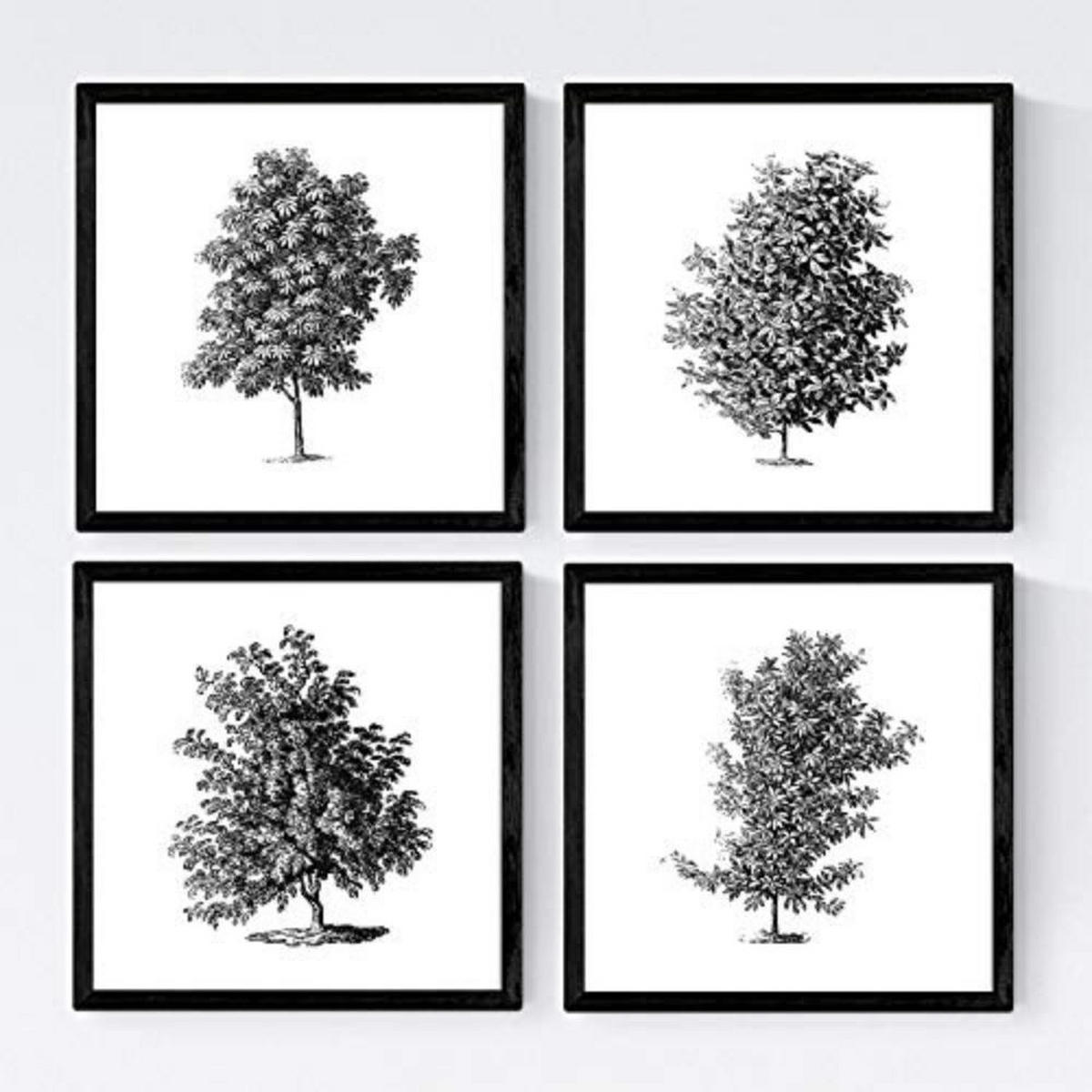 POSTER Set mit 4 Blättern der Baumzweige, weiß 20x20cm Schwarzer Rahmen - Schwarz, Papier (20/3cm) - Nacnic
