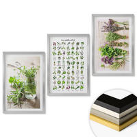 WANDBILDER 3er Set - 40x60 cm Silberner Rahmen - Getrocknete Kräuter für die Küche - Silberfarben, Kunststoff (40/60cm) - ArtPrintCave