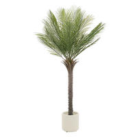 KUNSTPFLANZE Palme - Anthrazit/Grün, Holz/Kunststoff (150cm) - ML-DESIGN
