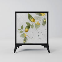 SIDEBOARD ELEGANT BOTANICS, Schwarz, 57,5x42x70,5 cm, Schwarze Metall-Sternfüße - Multicolor/Schwarz, Holzwerkstoff/Metall (57.5/70.5/42cm) - SpaceRebels