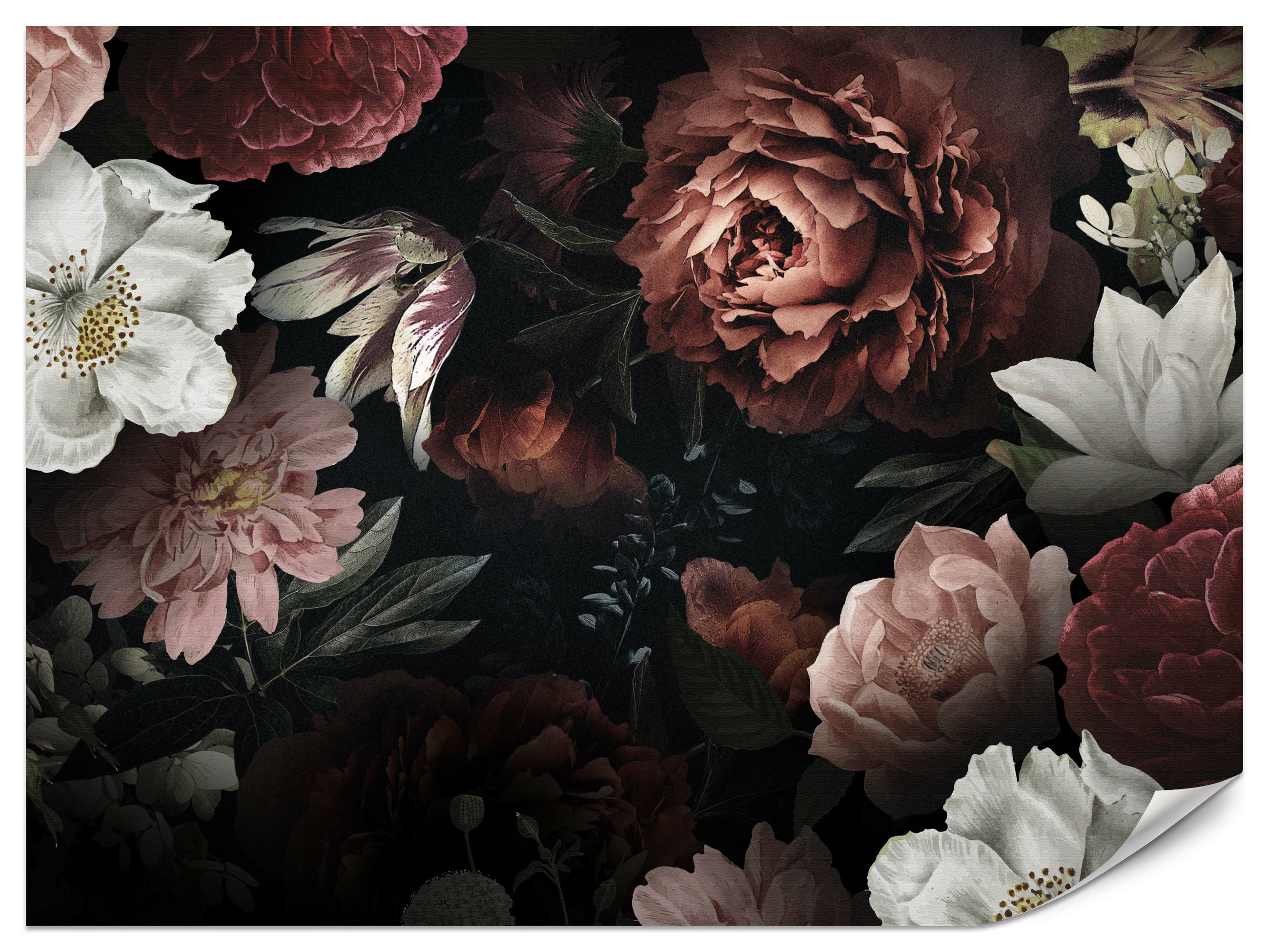 FOTOTAPETE für Büro Bunte Blumen Pfingstrosen Botanisch 200x140 - Rot/Weinrot, Papier (200/140cm) - Muralo