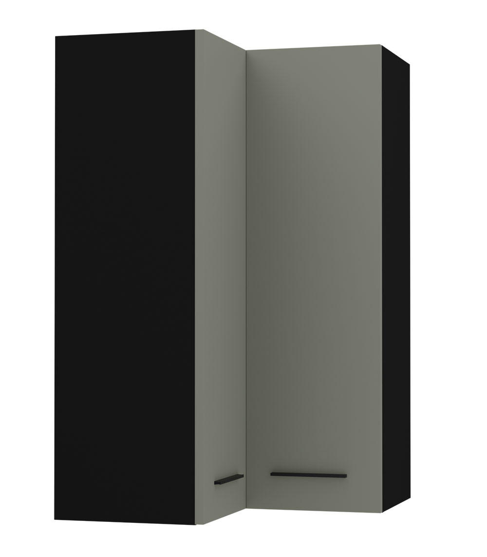 ECKHÄNGESCHRANK Bonn W14/60 schwarz / reed green matt 60 / 60 / 96cm - Schwarz/Grün, Holz/Holzwerkstoff (60/96/60cm) - Feldmann-Wohnen