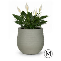 BLUMENTOPF Grau TERRA M 40x40x37 cm - Grau, Kunststoff (37cm) - Mazovia