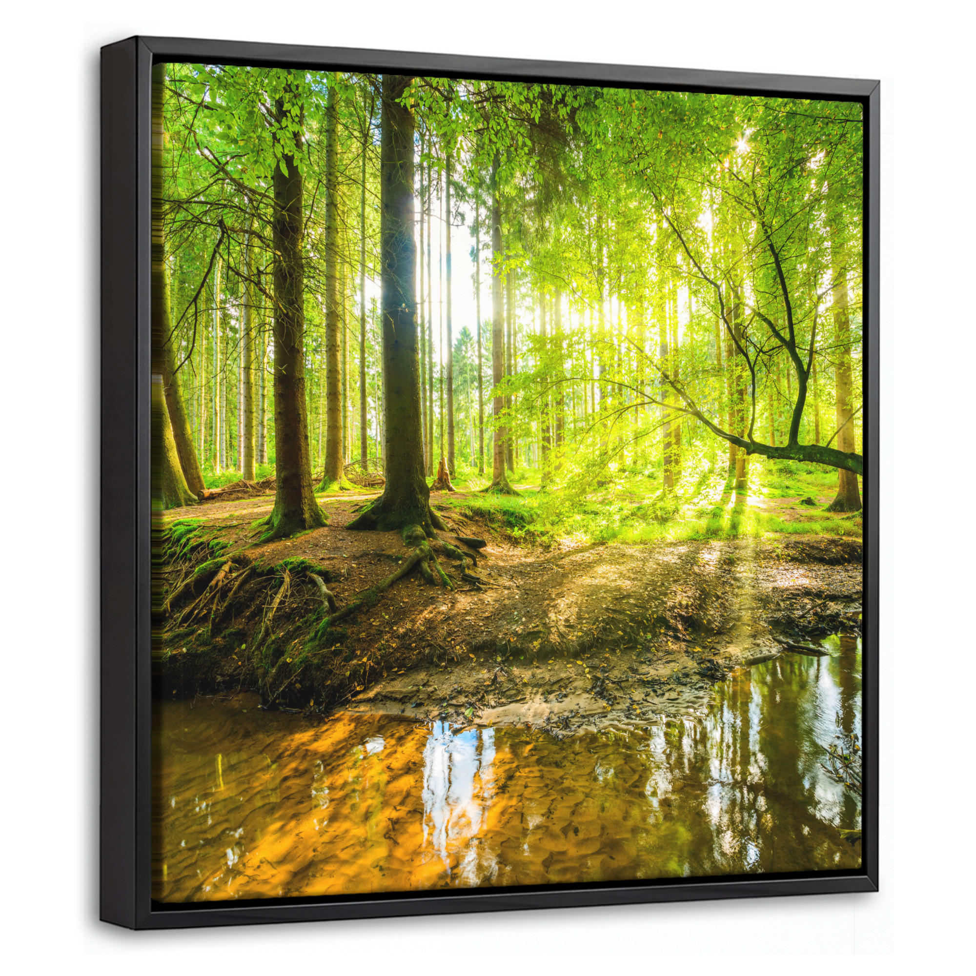 LEINWAND Bilder mit Rahmen - Wald - Landschaft - Wasser - Bäume - Sonne - Grün - Natur - 20x20 - Grün, Textil (20/20cm) - MuchoWow