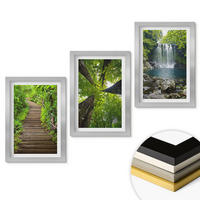 WANDBILDER 3er Set - 20x30 cm Silberner Rahmen - Pfad Wald Wasserfall Vegetation - Silberfarben, Kunststoff (20/30cm) - ArtPrintCave