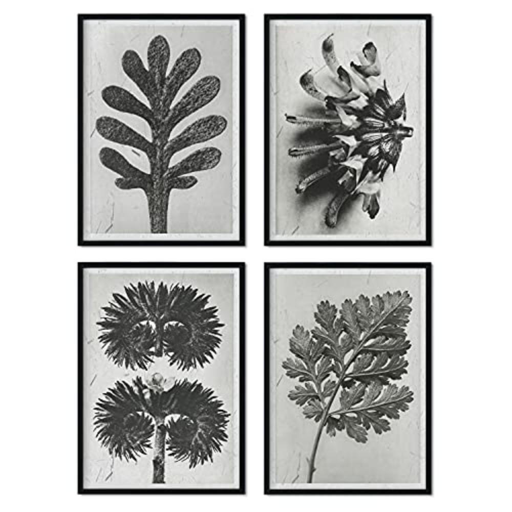 POSTER Set mit 4 von Blättern Blumen und Pflanzen in Grausteinen A4 Rahmenlos - Klar, Papier (29.7/3cm) - Nacnic