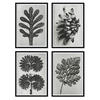 POSTER Set mit 4 von Blättern Blumen und Pflanzen in Grausteinen A3 Rahmenlos - Klar, Papier (29.7/3cm) - Nacnic