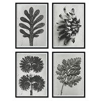 POSTER Set mit 4 von Blättern Blumen und Pflanzen in Grausteinen A4 Rahmenlos - Klar, Papier (29.7/3cm) - Nacnic