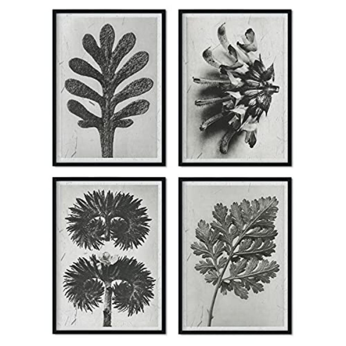 POSTER Set mit 4 von Blättern Blumen und Pflanzen in Grausteinen A4 Rahmenlos - Klar, Papier (29.7/3cm) - Nacnic