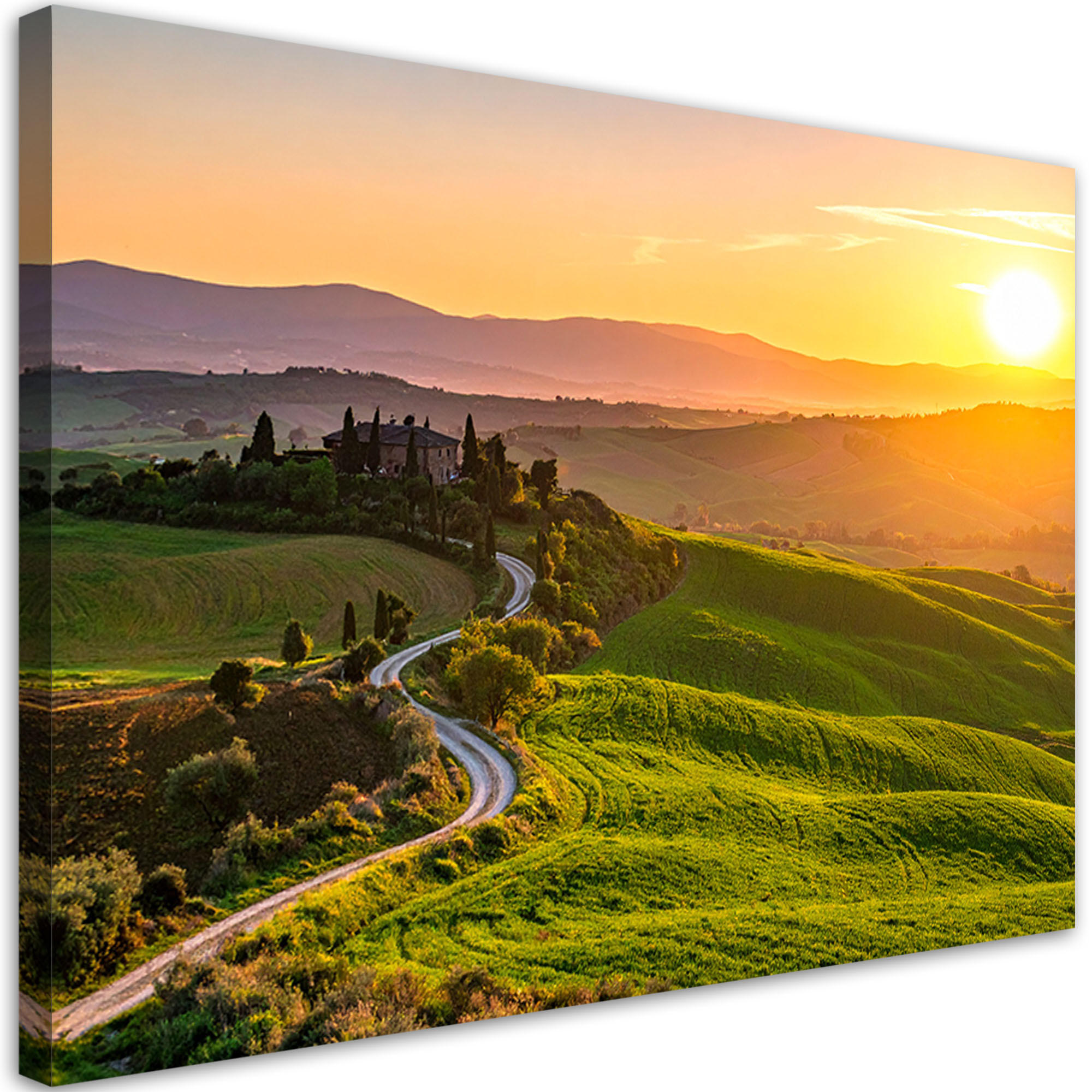 LEINWANDBILD Toskana Landschaft Sonnenuntergang 90x60cm - Grün, Textil (90/60cm) - Feeby
