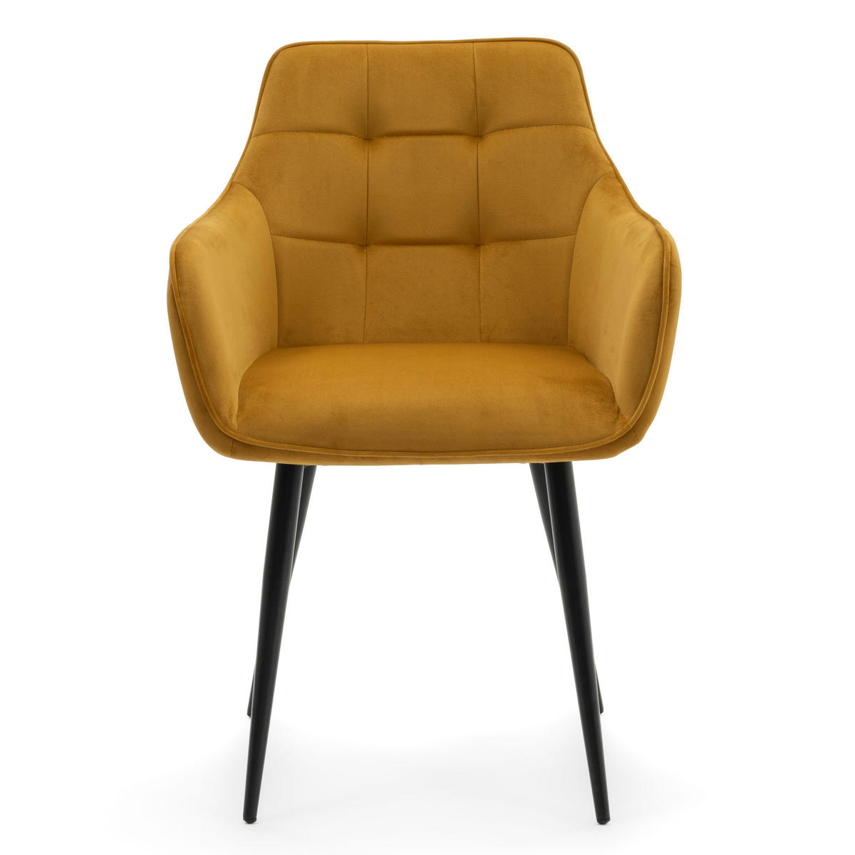 STUHL GALLO gespolstert mit Steppung - curry - Samt Velours - Currygelb/Schwarz, Textil/Metall (58/88/58cm) - NEW HOME