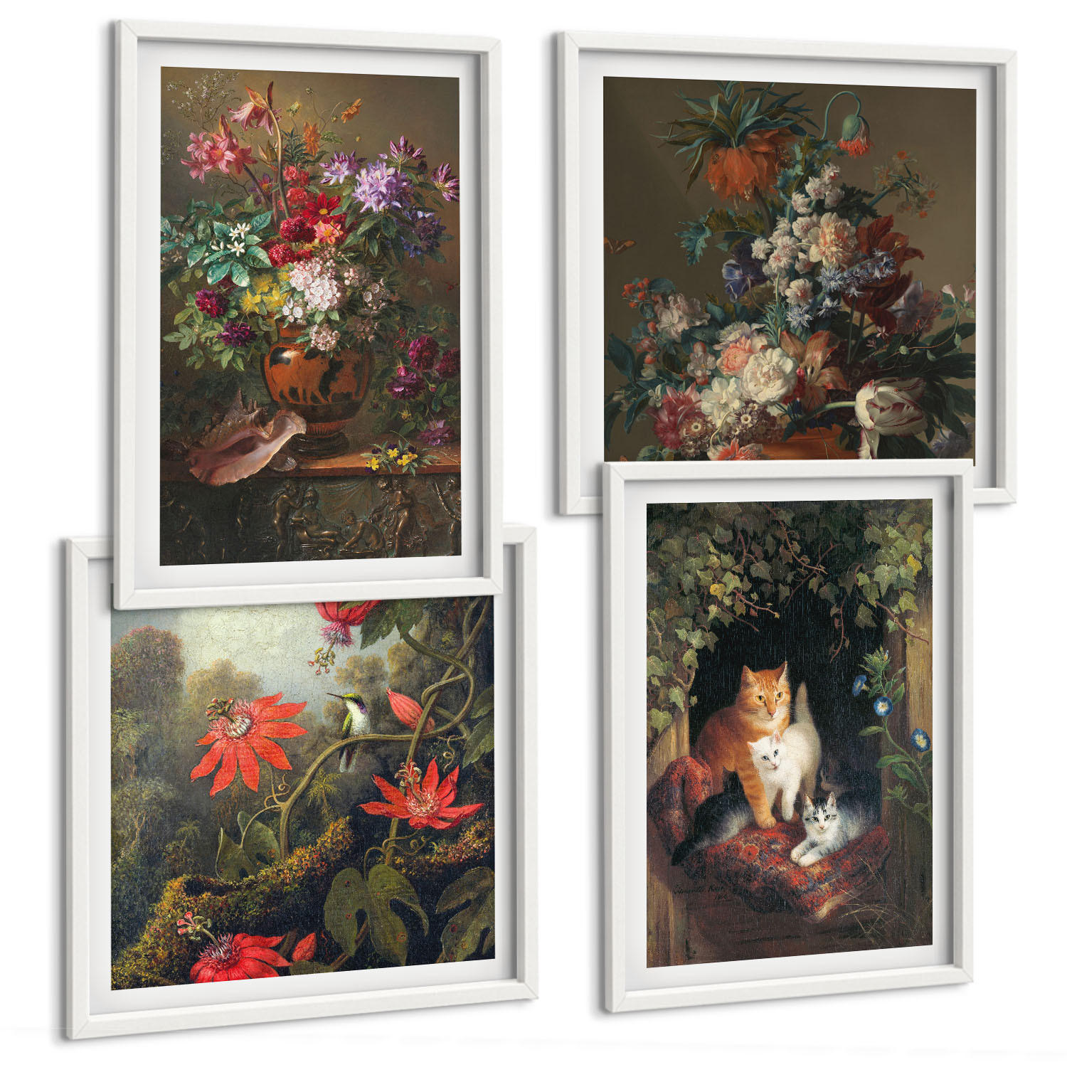 BILDER SET 4er Set - 50x50 cm & 40x60 cm Weißer Rahmen - Vintage-Blumen, Katzen, Pflanzen - Weiß, Kunststoff (50/50cm) - TULUP