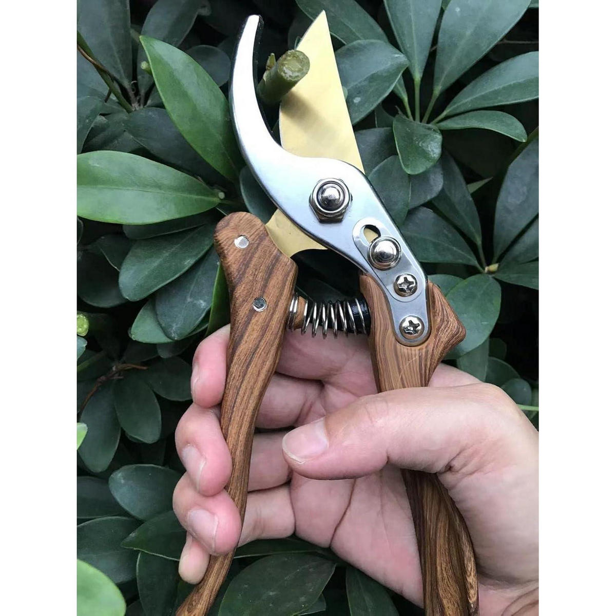 GARTENSCHERE aus japanischem SK4-Stahl mit Holzmaserung - Braun, Metall (6/2.4/21.8cm)