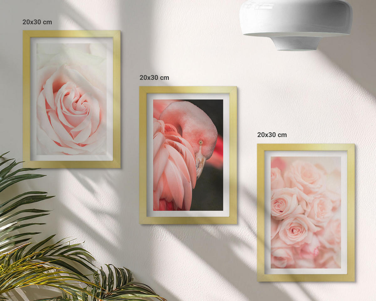 BILDER SET 3er Set - 20x30 cm Goldrahmen - Zartrosa Flamingos - Goldfarben, Kunststoff (20/30cm) - TULUP