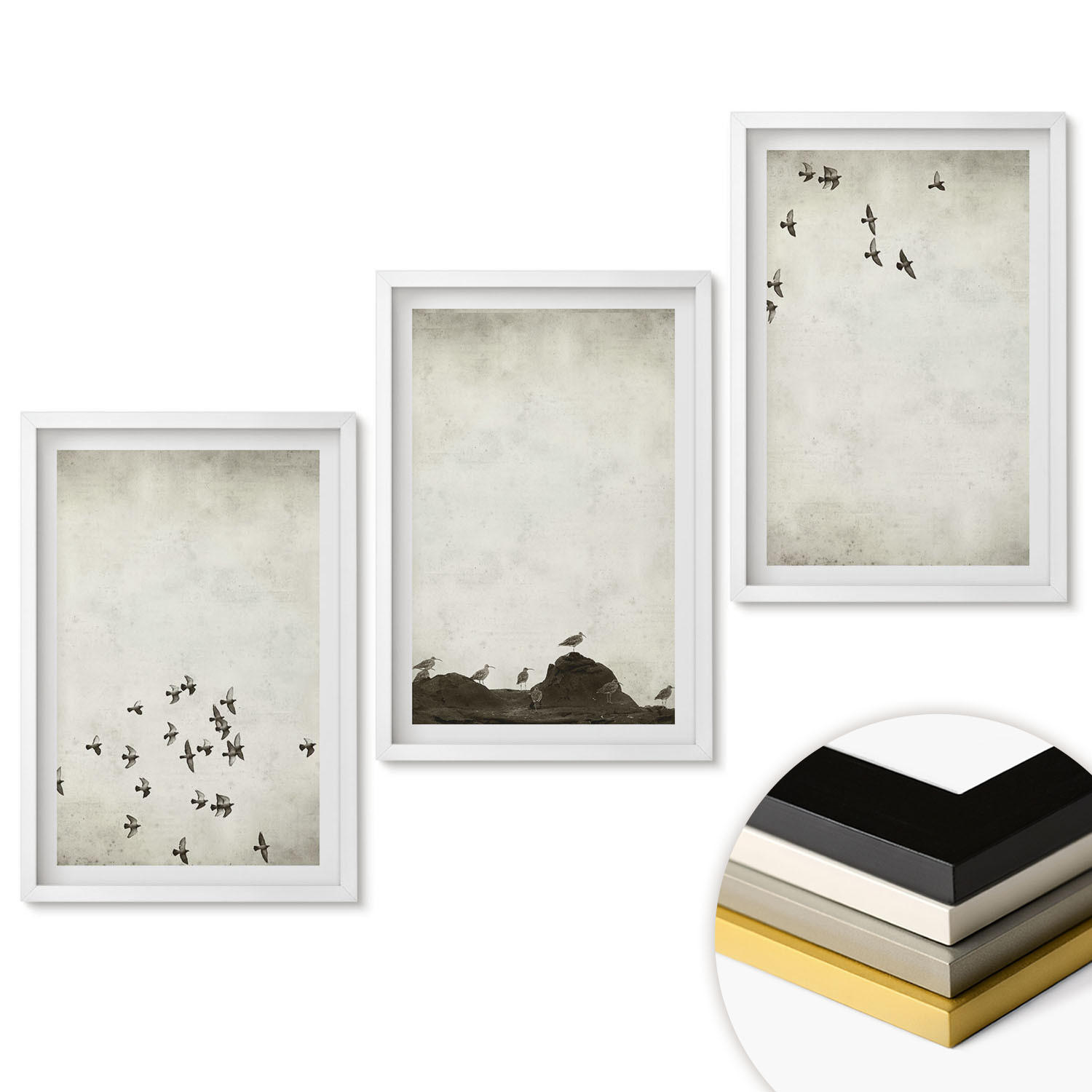 WANDBILDER 3er-Set - 40x60 cm Weißer Rahmen - Vögel im Flug, minimalistischer Stil - Weiß, Kunststoff (40/60cm) - ArtPrintCave