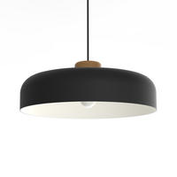HÄNGELEUCHTE Bois - Schwarz, Metall (50/50/17cm) - Lumicom