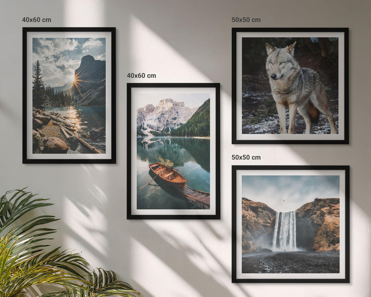 BILDER SET 4er Set - 50x50 cm & 40x60 cm Schwarzer Rahmen - Berge, Seen, Wasserfall, Wolf - Schwarz, Kunststoff (50/50cm) - TULUP