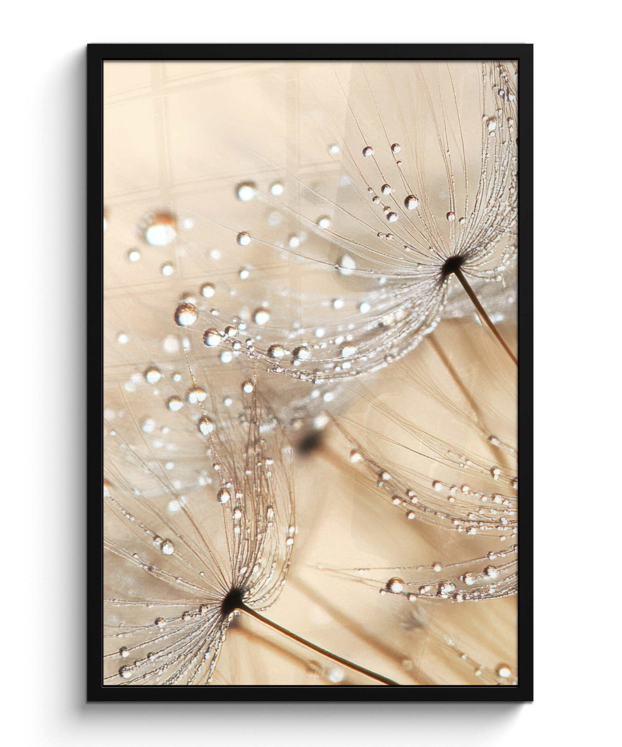 POSTER MIT RAHMEN Löwenzahn - Abstrakt - Natur - Beige 60x90 cm - Braun, Papier (60/90cm) - MuchoWow