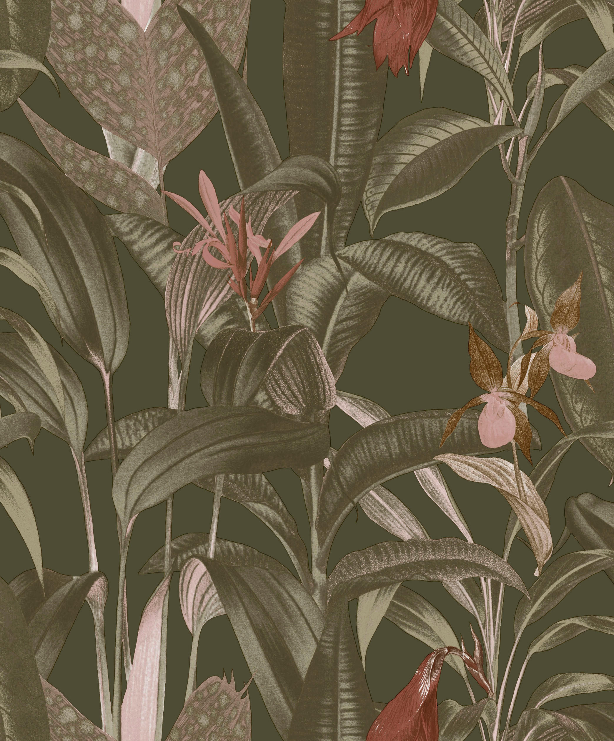 Looks by W.Joop Vliestapete Grün 53x1000 cm