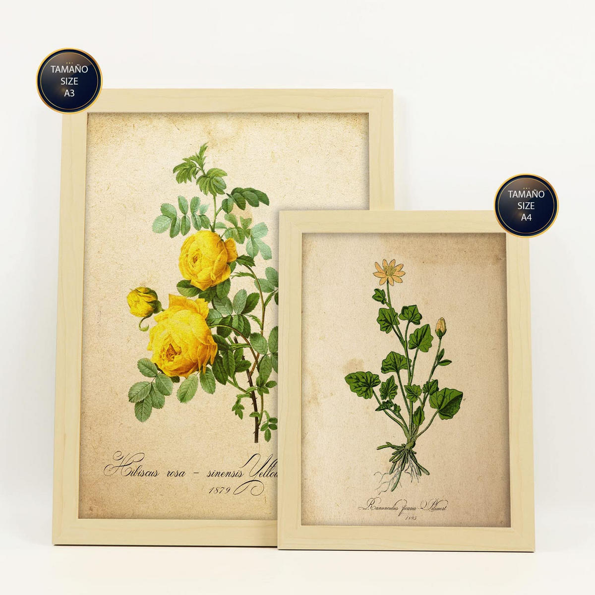 POSTER Set Mit 6 Botanisches Gelb Größe A3 & A4 Rahmen aus hellem Holz - Beige, Papier (29.7/1cm) - Nacnic