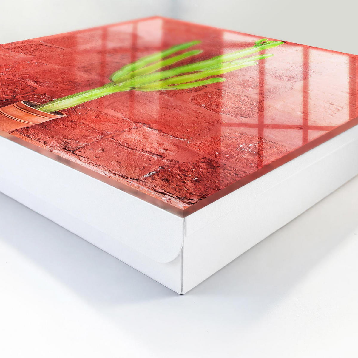 SCHLÜSSELBOX Weiß 30x30 cm – Türöffnung nach rechts - Grüner Kaktus - Rot, Metall (30/30/5cm) - TULUP
